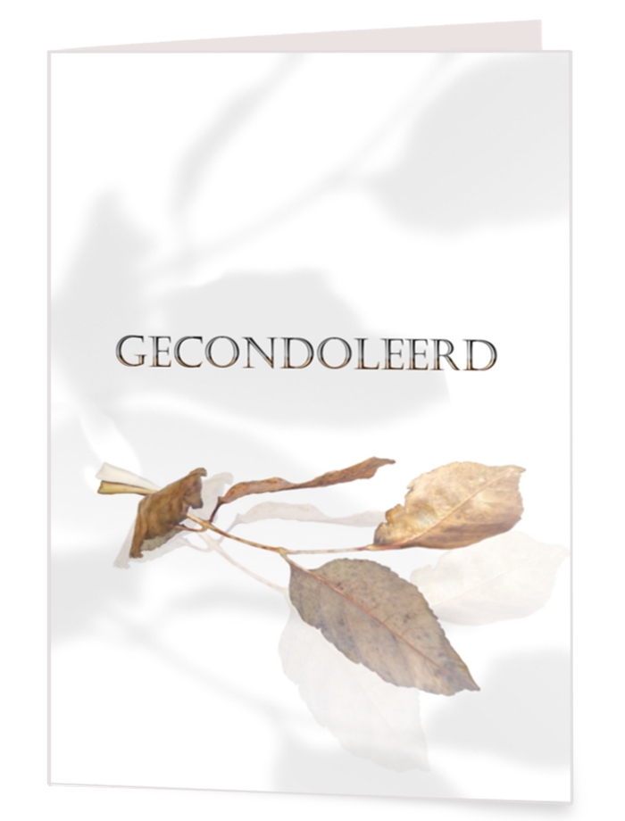 ... met dwarrelend beukenblad
