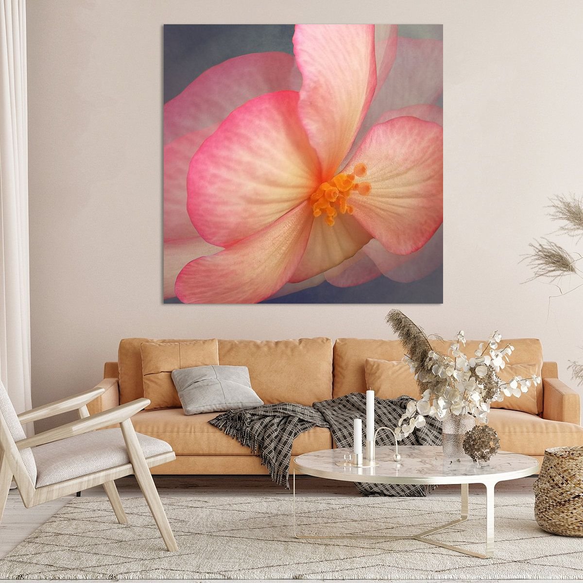 Begonia Wervelende Vlinder