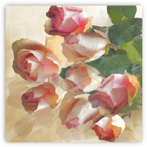 Rozen voor Virgie